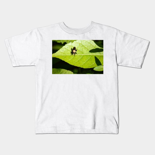 Robber Fly Kids T-Shirt by Drgnfly4free